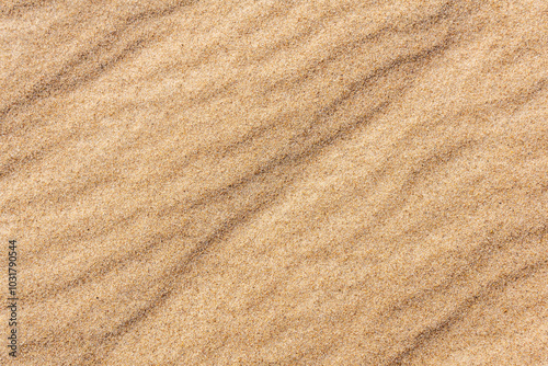 background - surface of the sand with wind ripples