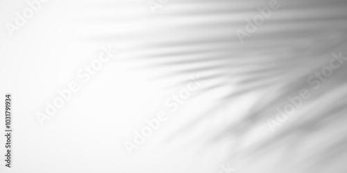 palm leaf isolated on white background