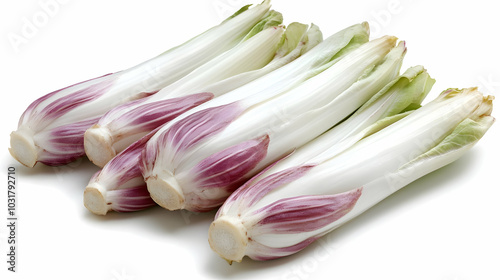 Fresh Red Chicory.