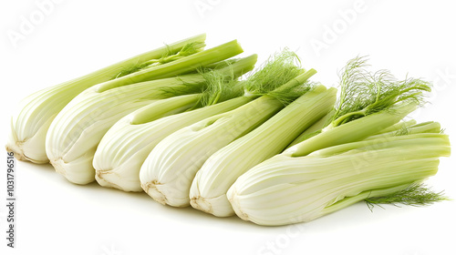 Fresh Fennel Bulbs Isolated on White Background.