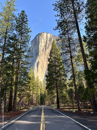 Photos El Capitan Yosemite National Park California looking through the trees at the no