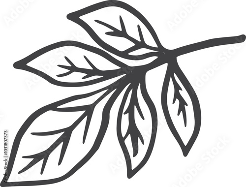 Simple Leaf hand-drawn svg