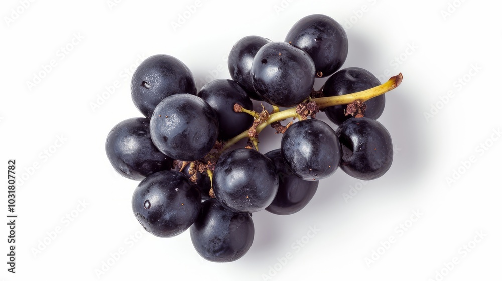 Captivating Composition: Fascinating Black Grape Exquisitely Isolated on a Serene White Canvas in a Captivating Composition: Fascinating Black Grape Exquisitely Isolated on a Serene White Canvas in a