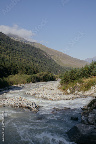 BEAUTIFUL MOUNTAIN RIVER IN SUMMER