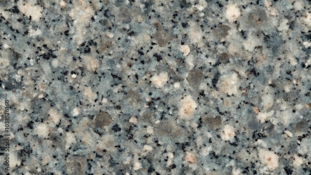 Polished granite surface with speckled pattern in shades of gray, black, and white Polished granite surface with speckled pattern in shades of gray, black, and white