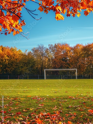 A scenic soccer field bathed in the warm hues of autumn, showcasing vibrant foliage and a lone goalpost, symbolizing the transition of seasons, the beauty of nature, the spirit of sport, and the promi photo