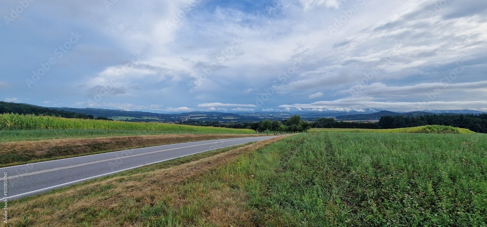 landscape of bohemian countryside bavorov freshly cut crops and yellow field landscape of bohemian countryside bavorov freshly cut crops and yellow field