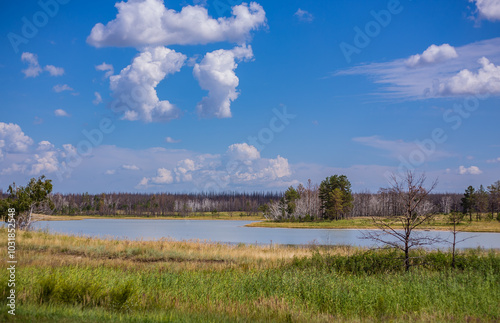 Kazakh lakes in Kostanay region. August 2024.