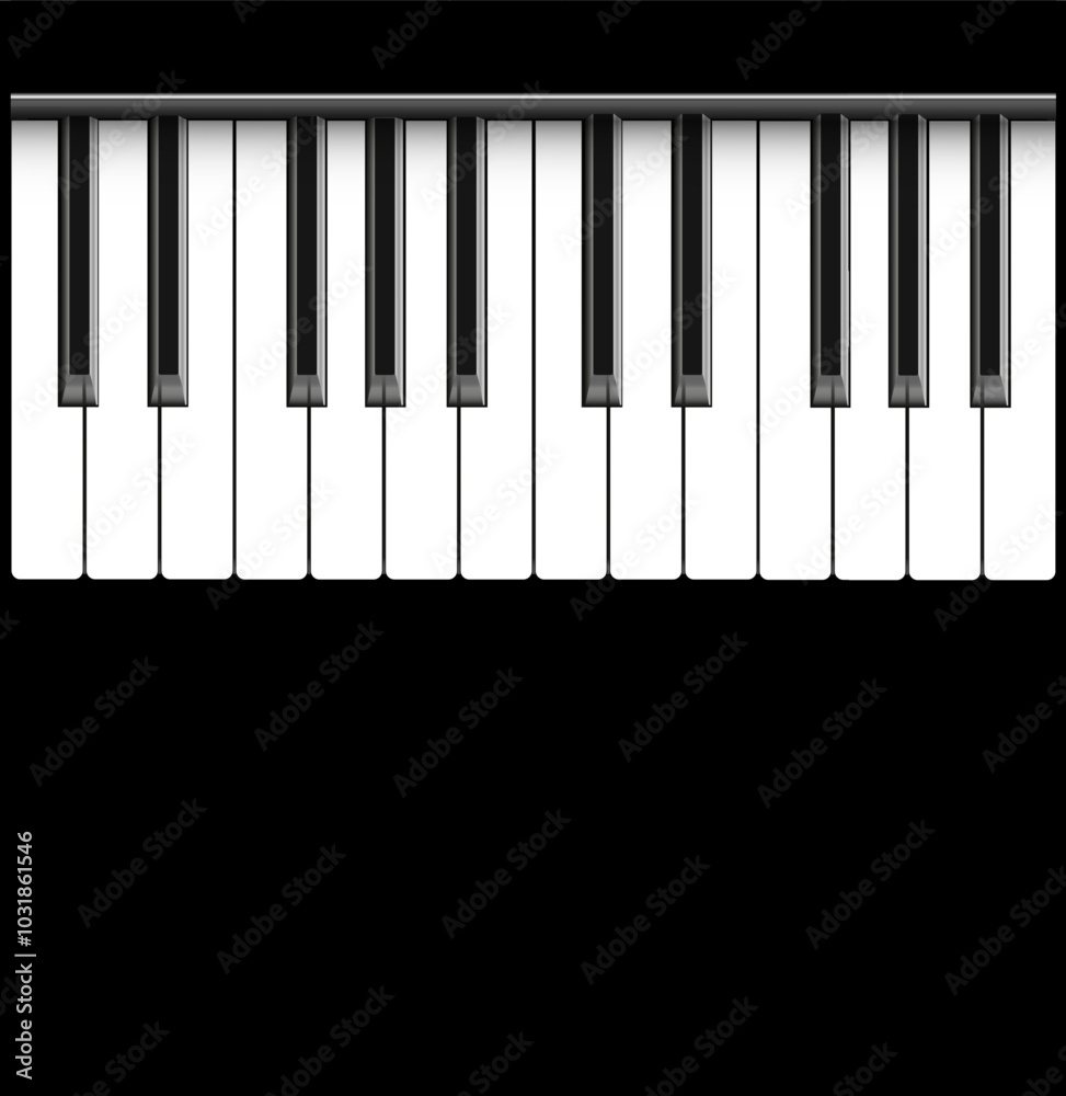 musical instrument row of black and white keys vector