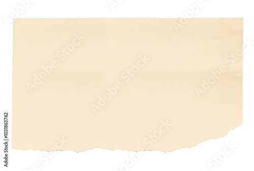 PNG Ripped beige paper collage element, transparent background