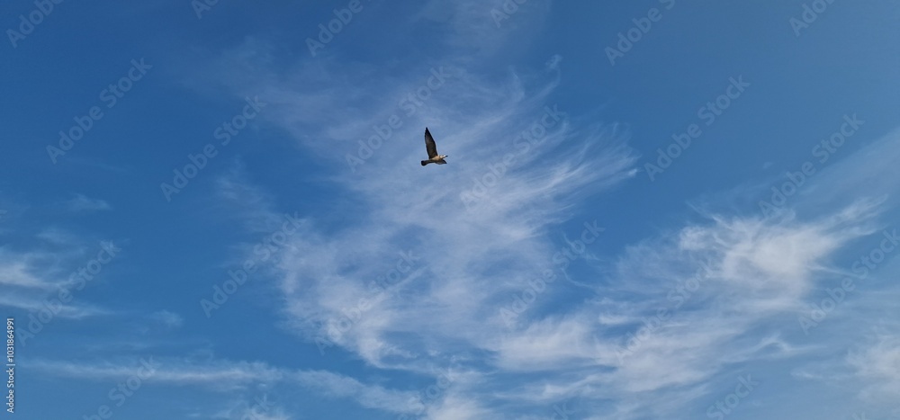 Obraz premium sea gulls above lake Most under the peak Hněvín with castle and lookout, artificial post mining revitalised coal mine small power plant aroun
