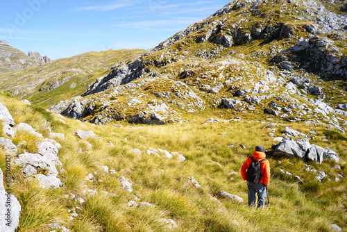 A single traveler with a backpack and hiking poles walks down a grassy hillside on a sunny autumn day. Active holidays in Montenegro: a man in a bright jacket during a hike near Kapetanovo Lake photo