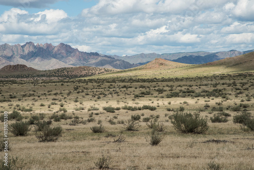 Beautiful colored landscape tourism hobby. Mongolia.