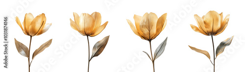 Four golden tulips with varying leaf colors are arranged in a row.