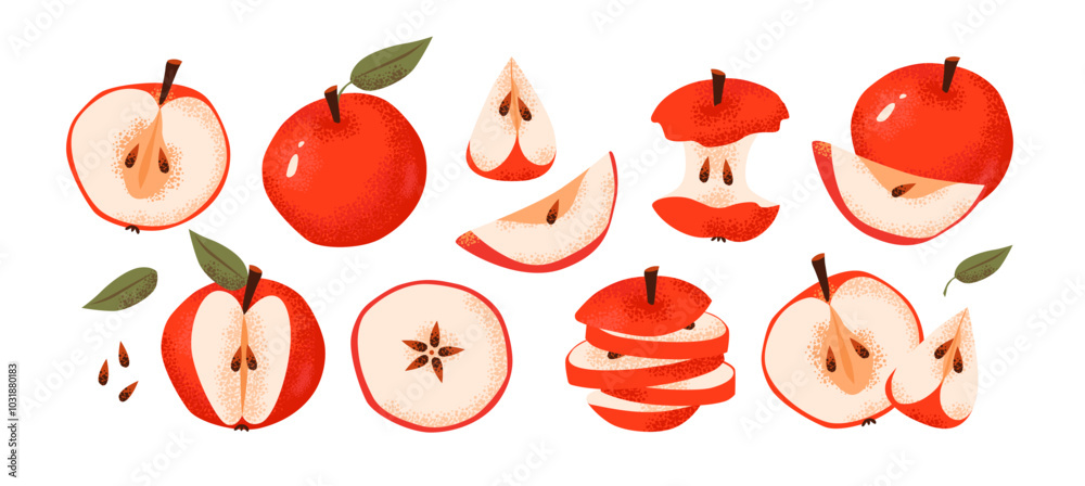 Apples in different forms, slice, whole, core isolated on a white background. Flat illustration of fresh apple. Healthy eating and agricultural sustainability Apples in different forms, slice, whole, core isolated on a white background. Flat illustration of fresh apple. Healthy eating and agricultural sustainability