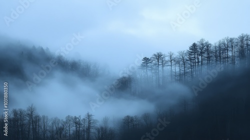 Ethereal Fog Enveloping the Mountainous Landscape