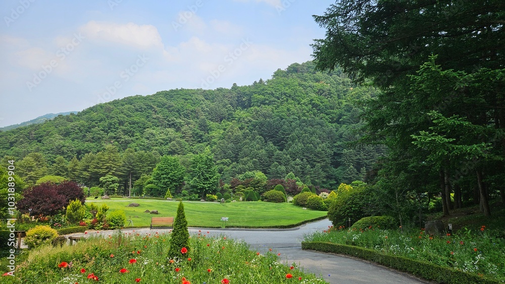 Obraz premium In a beautiful forest with pretty flowers
