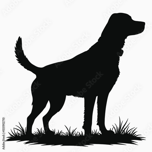a black silhouette of a dog standing on a white background. The dog is facing towards the right side of the image and appears to be a Labrador Retriever 