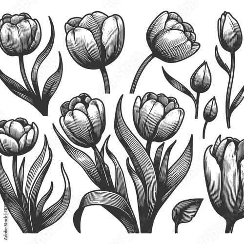 tulips flowers in engraving style, perfect for botanical themes sketch engraving generative ai vector illustration. Scratch board imitation. Black and white image.