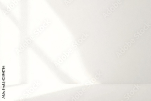 Minimalistic white background with subtle texture and light gray gradient at the bottom edge, elegant and refined design with white space for text or graphics.