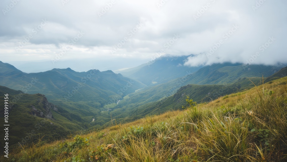 Fototapeta premium Majestic Mountain Range Under Cloudy Sky in Lush Landscape