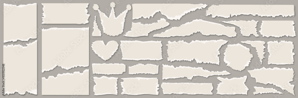 Collection of white torn paper textures on gray background vector 10 eps