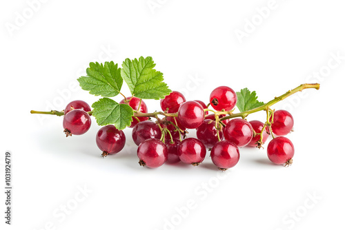 Fresh Red currant berries with leaf on White Background