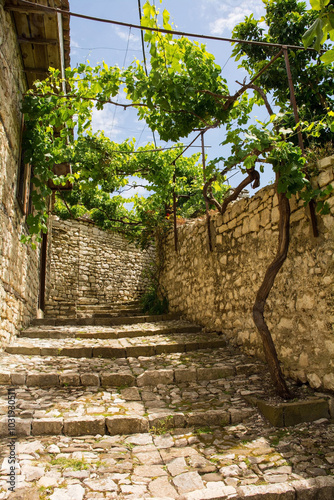 A narrow stepped cobblestone lane in the residential quarter of the castle district, Kalaja, of Berat,Albania. Traditional stone buildings, grapevine-covered trellis. UNESCO World Heritage Site listed