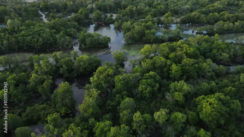 Flooded forest, forest areas covered by shallow water. These forests are ecologically, biologically and economically important forests. Therefore, it has an important function for ecosystem integrity.