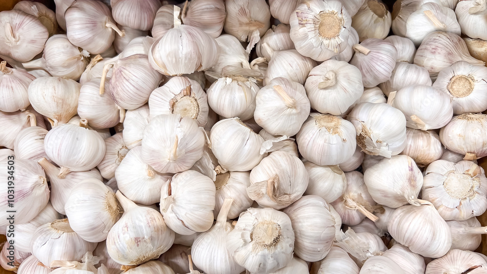Garlic. Fresh Dried Garlic on a Farmers Market..White garlic head pile texture background. Garlic. Fresh Dried Garlic on a Farmers Market..White garlic head pile texture background.