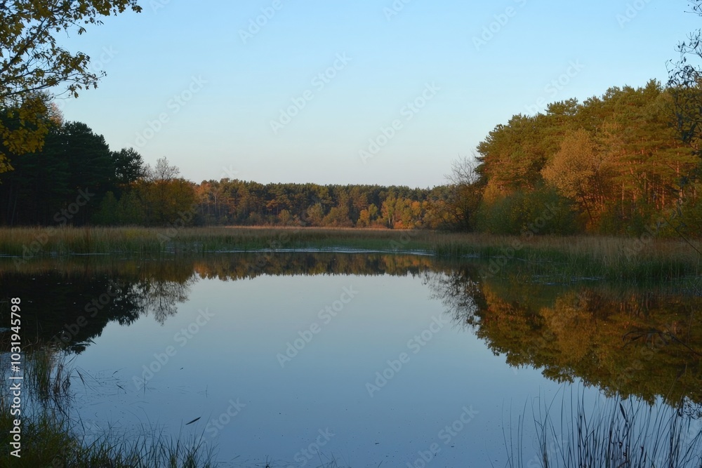 Tranquil autumn morning by a serene lake surrounded by colorful trees and clear skies Tranquil autumn morning by a serene lake surrounded by colorful trees and clear skies