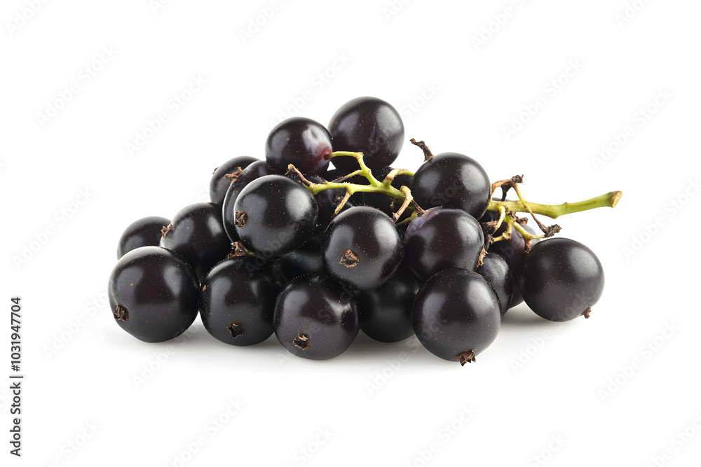 Black currant berry isolated on white background Black currant berry isolated on white background