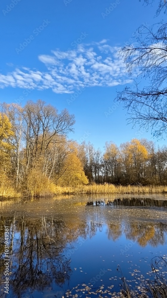 Golden autumn reflections in a tranquil pond under a bright blue sky Golden autumn reflections in a tranquil pond under a bright blue sky