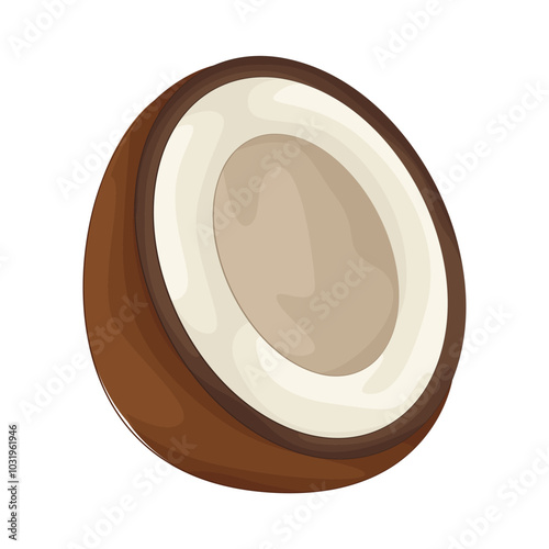 Illustration of half coconut 