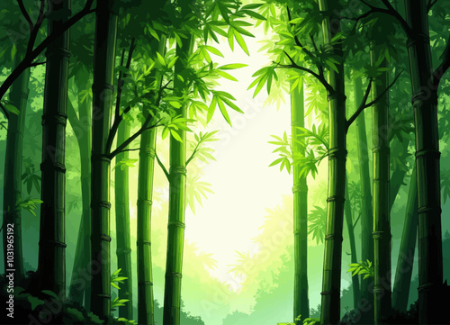 Bamboo Forest with Sunlight 
