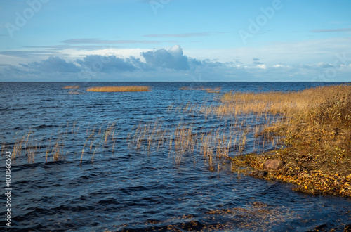 autumn sea shore landscape in Kurtinhauta, Oulu Finland photo