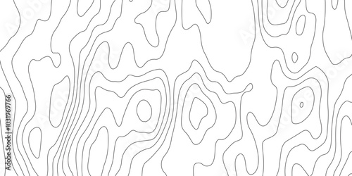 abstract pattern with lines. background of the topographic map. elevation contouring outline cartography texture. geographic abstract grid. futuristic wireframe lands. black and white seamless pattern