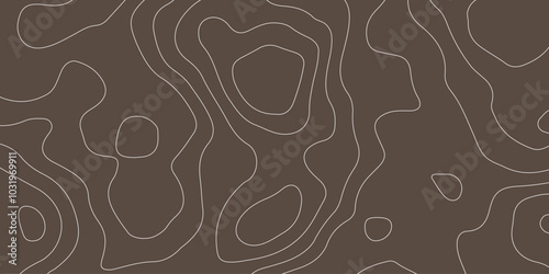 abstract pattern with lines. background of the topographic map. elevation contouring outline cartography texture. geographic abstract grid. futuristic wireframe landscape background