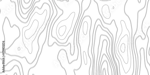 abstract pattern with lines. background of the topographic map. elevation contouring outline cartography texture. geographic abstract grid. futuristic wireframe landscape background.