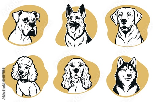 A set of dog illustrations with a variety of breeds including a poodle photo