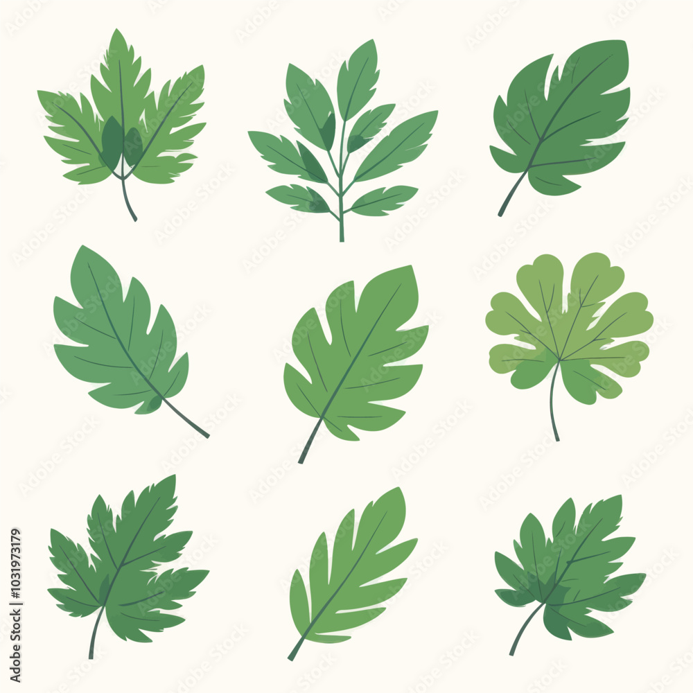 Green Leaf Illustration Set
Green Leaf Illustration Set