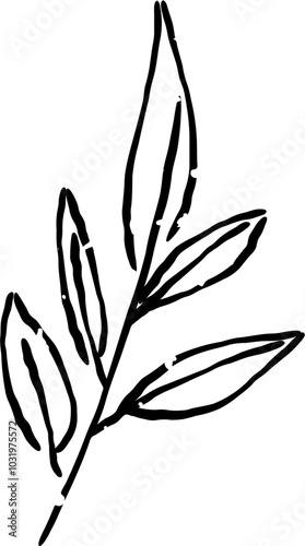 Leaf Icon Set