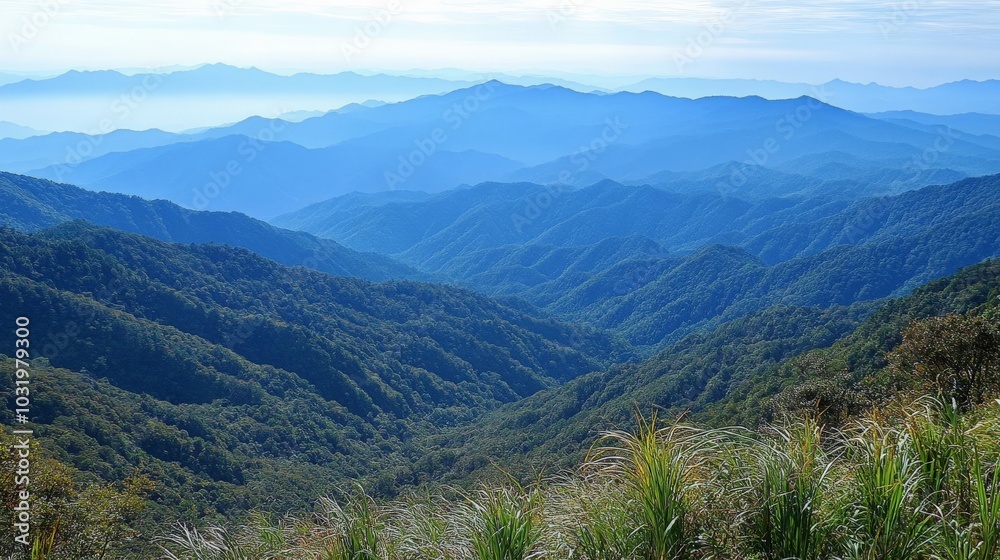 Obraz premium Breathtaking Blue Ridge Mountains Landscape