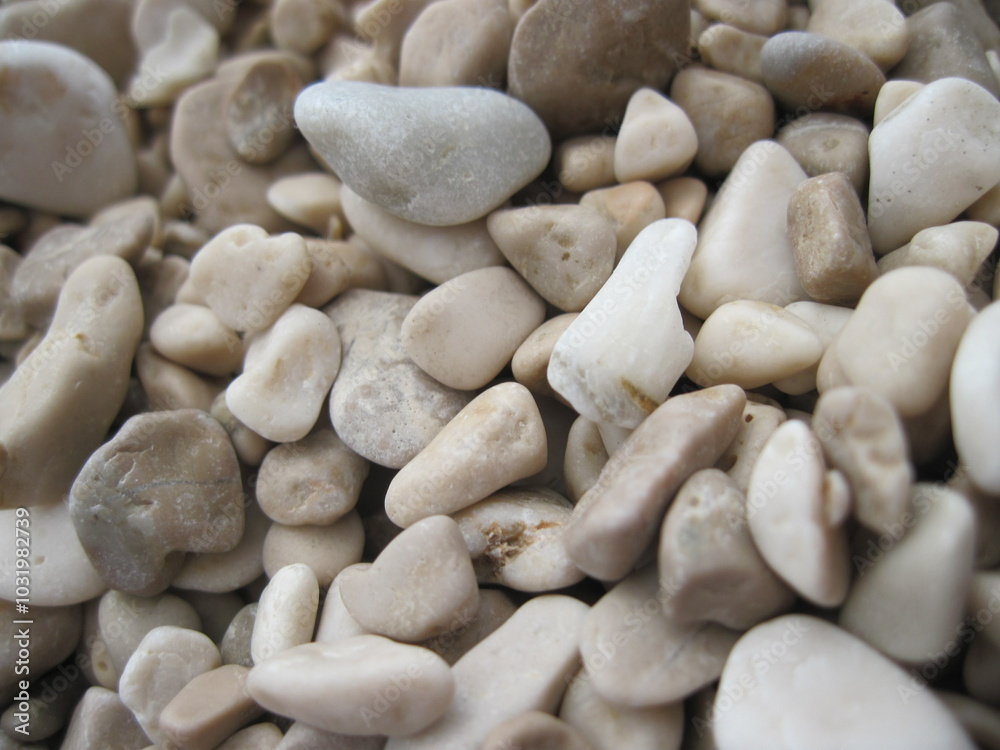 Macro view of gravel beach on the sun. Pebbles on the seaside. Close up of a stone on a sunny summer day.
Macro view of gravel beach on the sun. Pebbles on the seaside. Close up of a stone on a sunny summer day.
