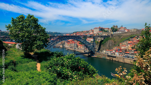 Famous bridge and cityscape in Porto. Portugal