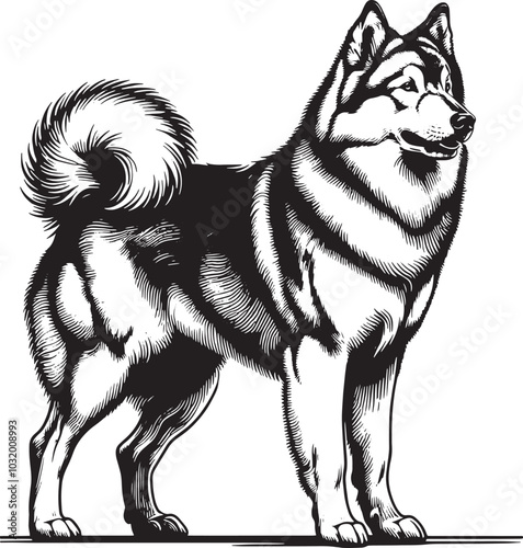 Outline Vector Illustration of a Husky Dog