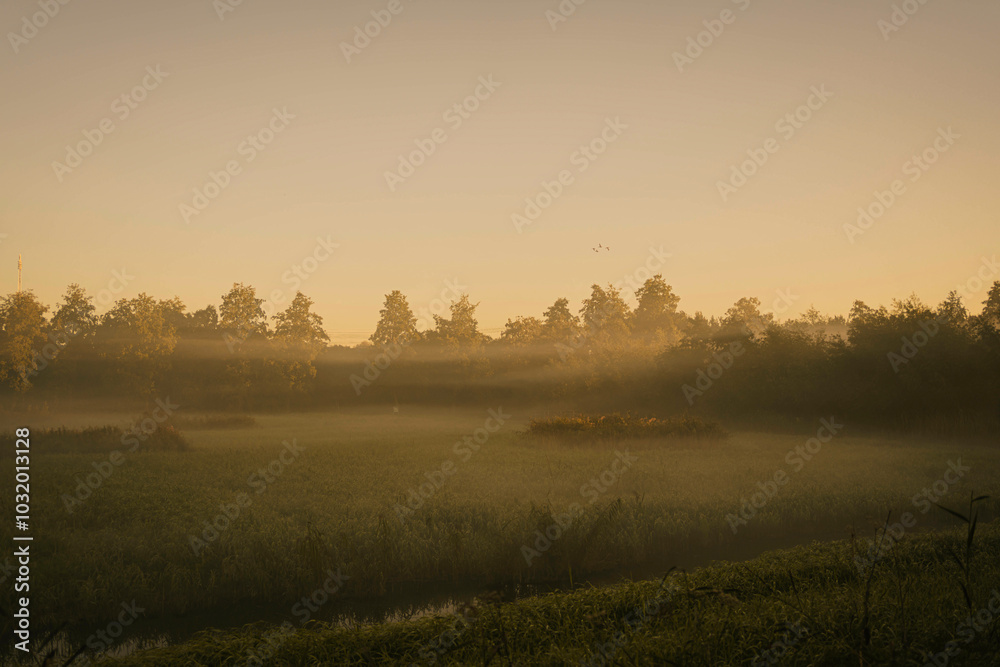 A foggy morning in the park, where mist lingers among the trees. Gentle rays of sunlight pierce through the fog, casting a soft, golden glow. Dew glistens on the grass, and the air is still and cool. A foggy morning in the park, where mist lingers among the trees. Gentle rays of sunlight pierce through the fog, casting a soft, golden glow. Dew glistens on the grass, and the air is still and cool.