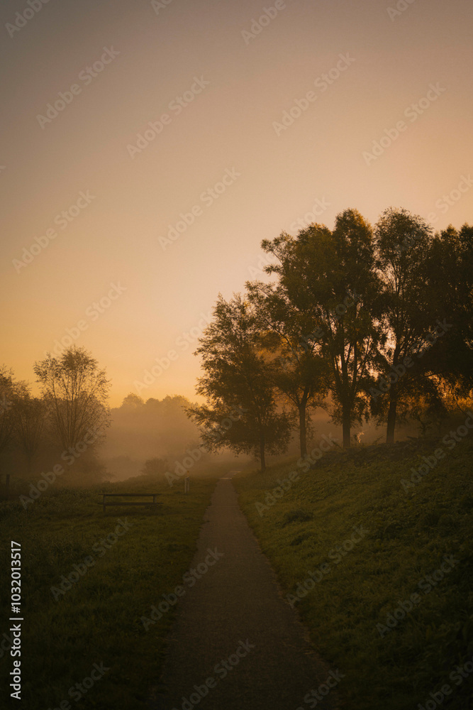 A foggy morning in the park, where mist lingers among the trees. Gentle rays of sunlight pierce through the fog, casting a soft, golden glow. Dew glistens on the grass, and the air is still and cool. A foggy morning in the park, where mist lingers among the trees. Gentle rays of sunlight pierce through the fog, casting a soft, golden glow. Dew glistens on the grass, and the air is still and cool.