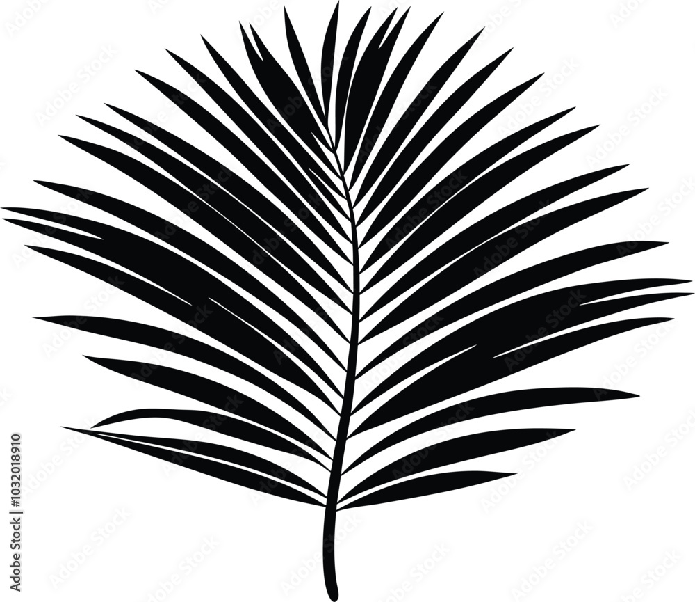 

Palm leaves silhouette, Tropical leaves vector, palm leaves and branches
