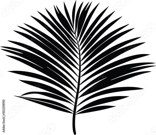 Palm leaves silhouette, Tropical leaves vector, palm leaves and branches 